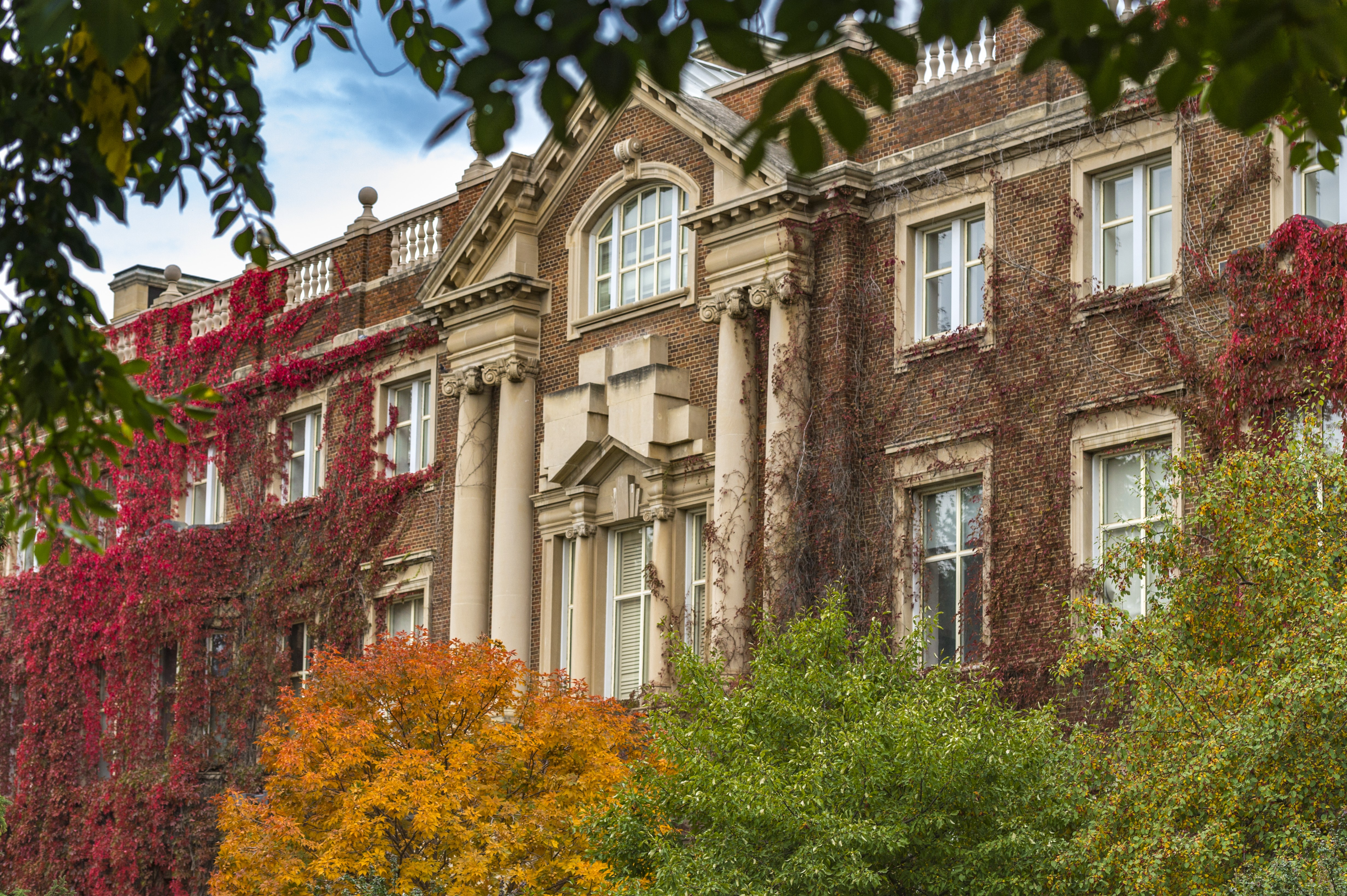 Photo of University of Alberta